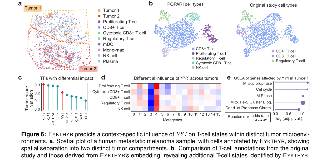 Figure 6 melanoma T cell 案例