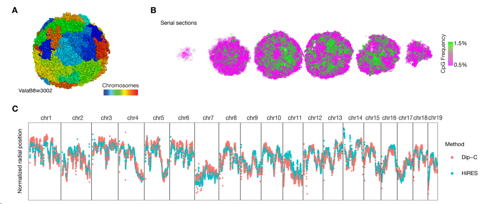 image-20260305220305127