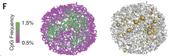 image-20260305221623652