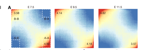 image-20260307203059287