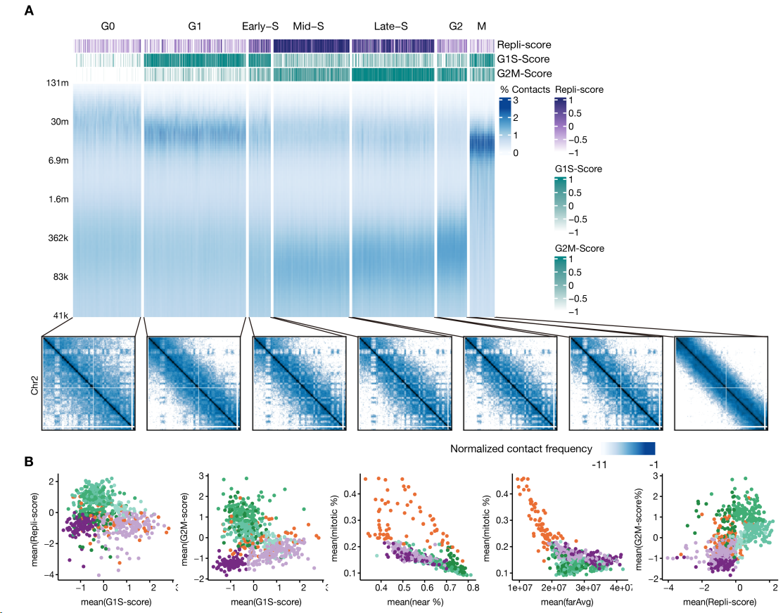 image-20260307205704289