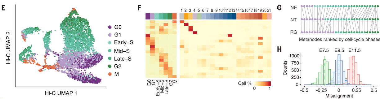 image-20260307205923587