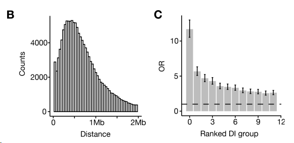 image-20260307222539024