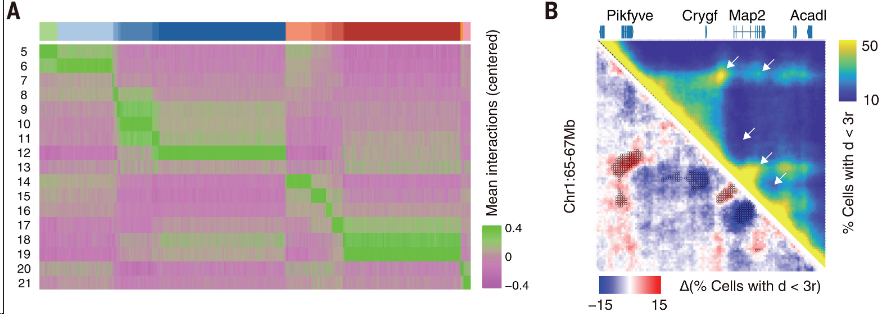 image-20260309154345925