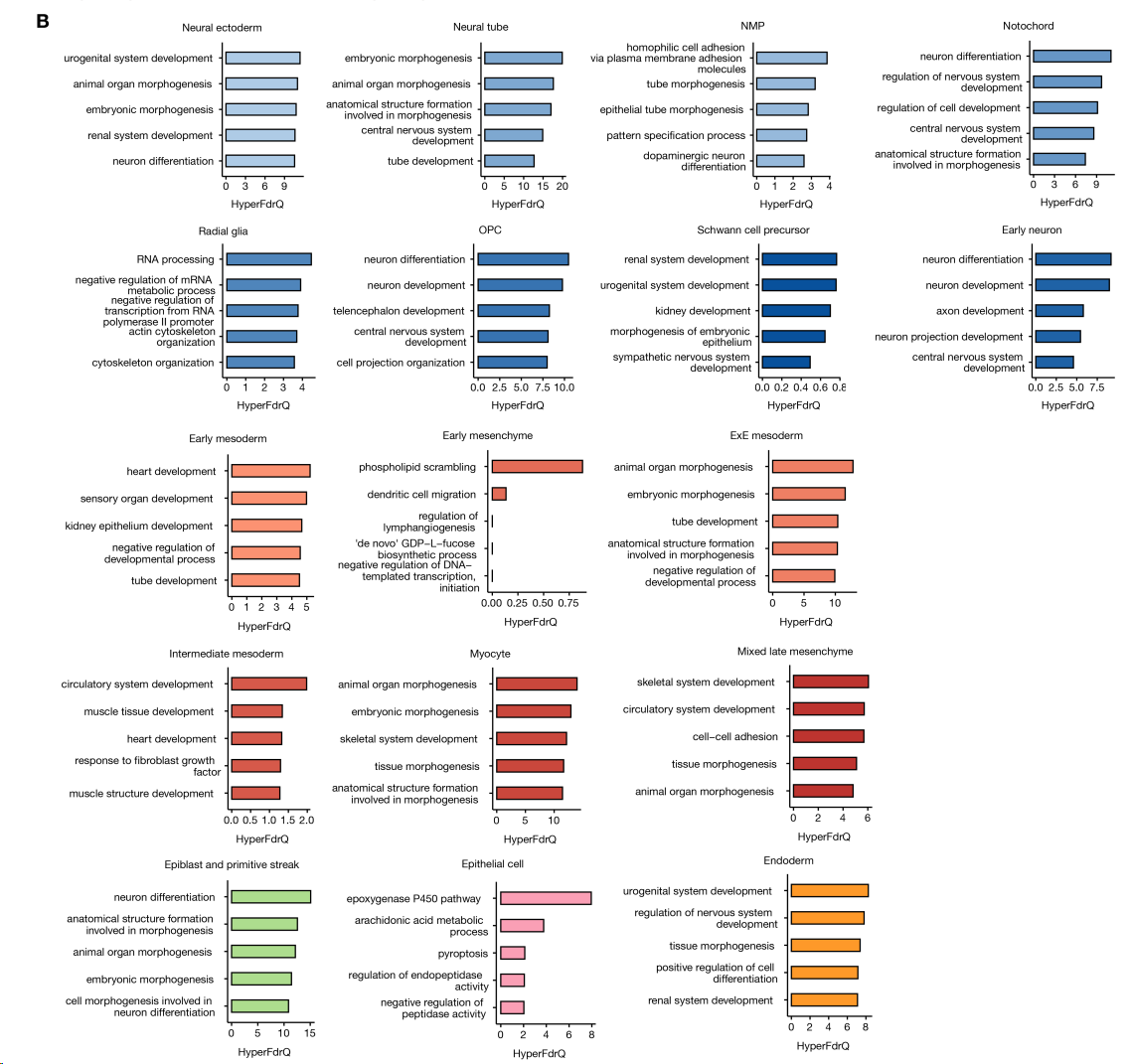 image-20260309155228382