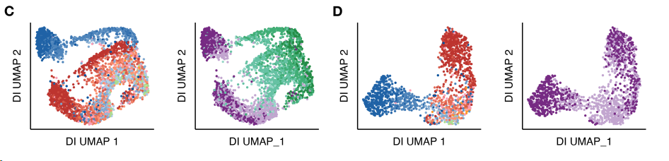 image-20260309161200324