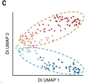 image-20260309162542098