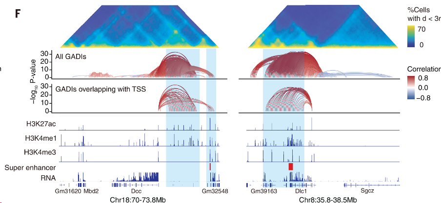 image-20260309165812929