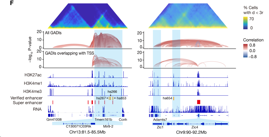 image-20260309170116560