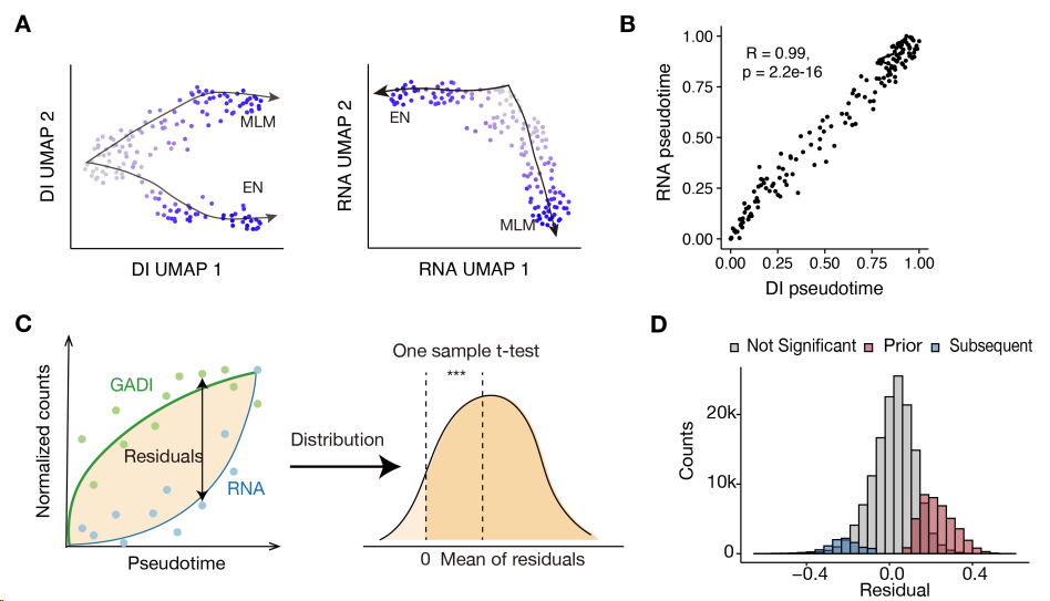 image-20260309170901331