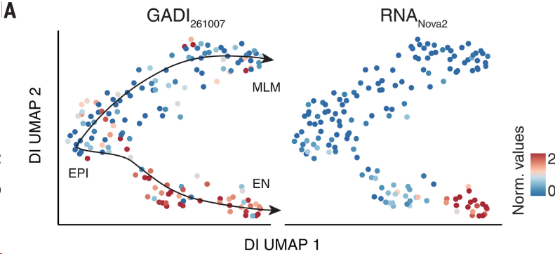 image-20260309172726652