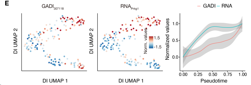 image-20260309173155860