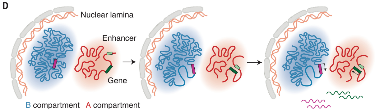 image-20260309175145792