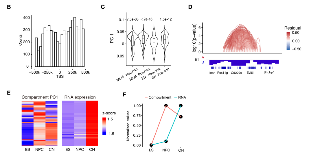 image-20260309180004176
