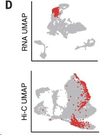 image-20260307205221960