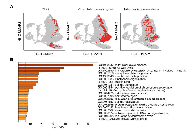 image-20260307205243822